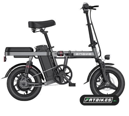Engwe T14 | 250W | Klapprad | Grau