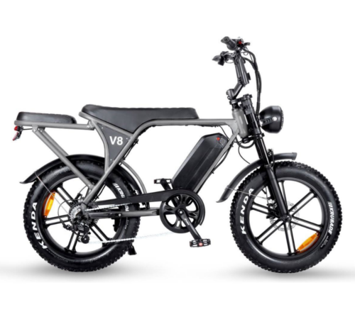 Ouxi C80 3.0 | Grau | 250W | 2026 | E-bike Fatbike