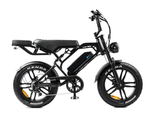 V20 Pro Fatbike | 250W | Schwarz | Elektrisches Fatbike