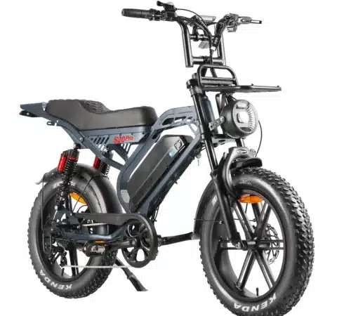 Fatbike S20 Pro | Grau